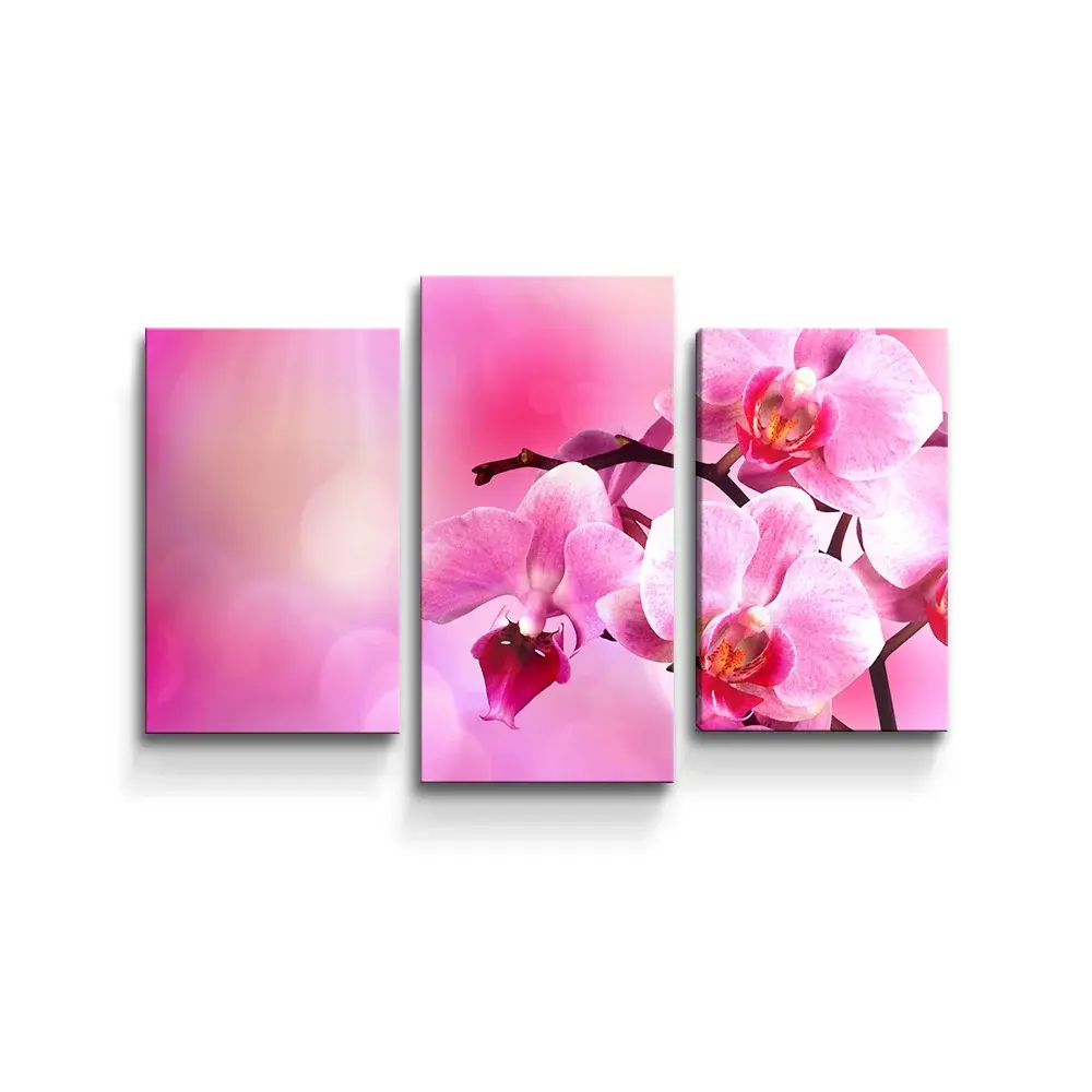 Obraz - 3-dílný Květy orchideje - 75x50 cm