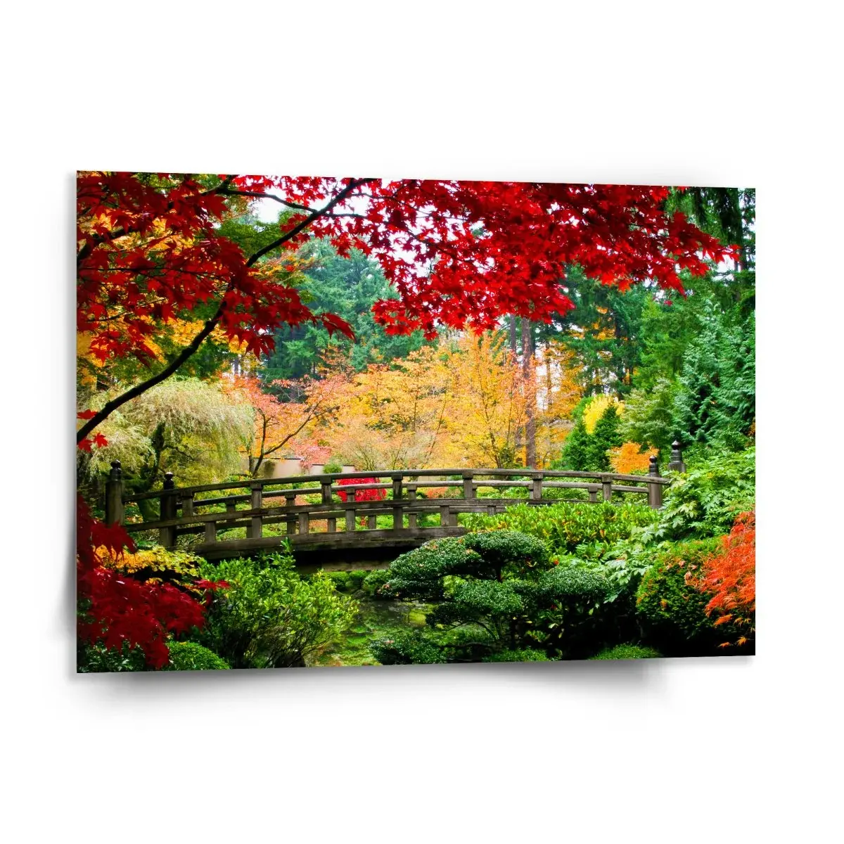 Obraz Most v parku - 150x110 cm