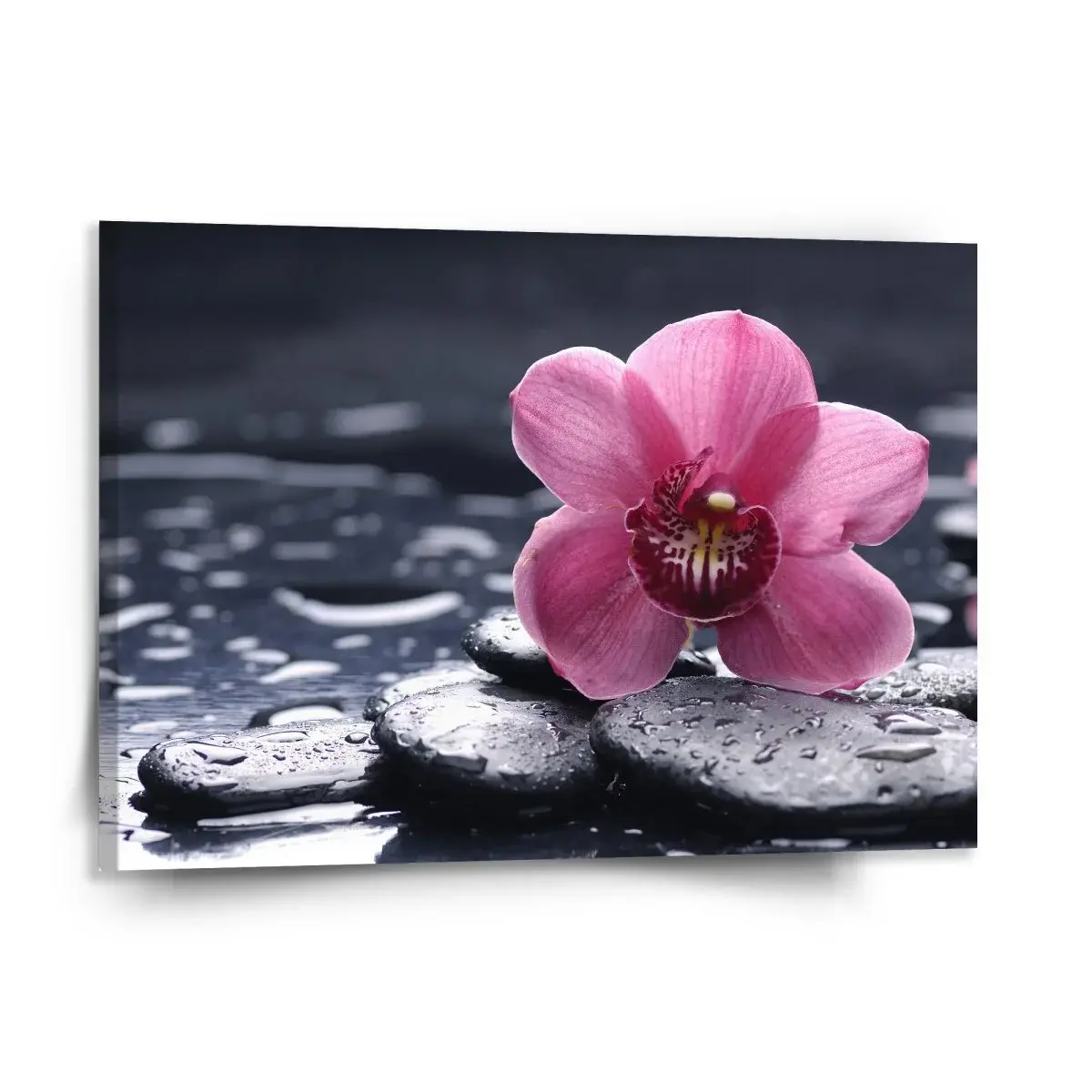 Obraz Orchidej - 150x110 cm