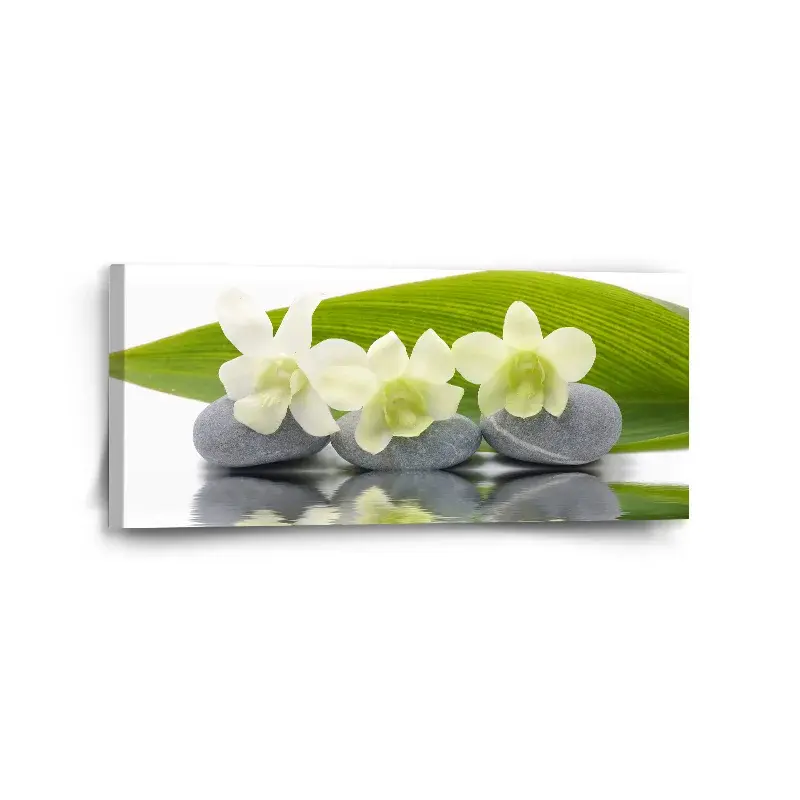 Obraz Bílá orchidej - 110x50 cm