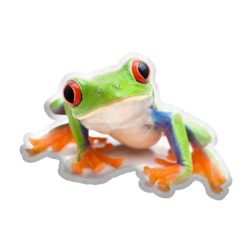 3D polštář ve tvaru Žába