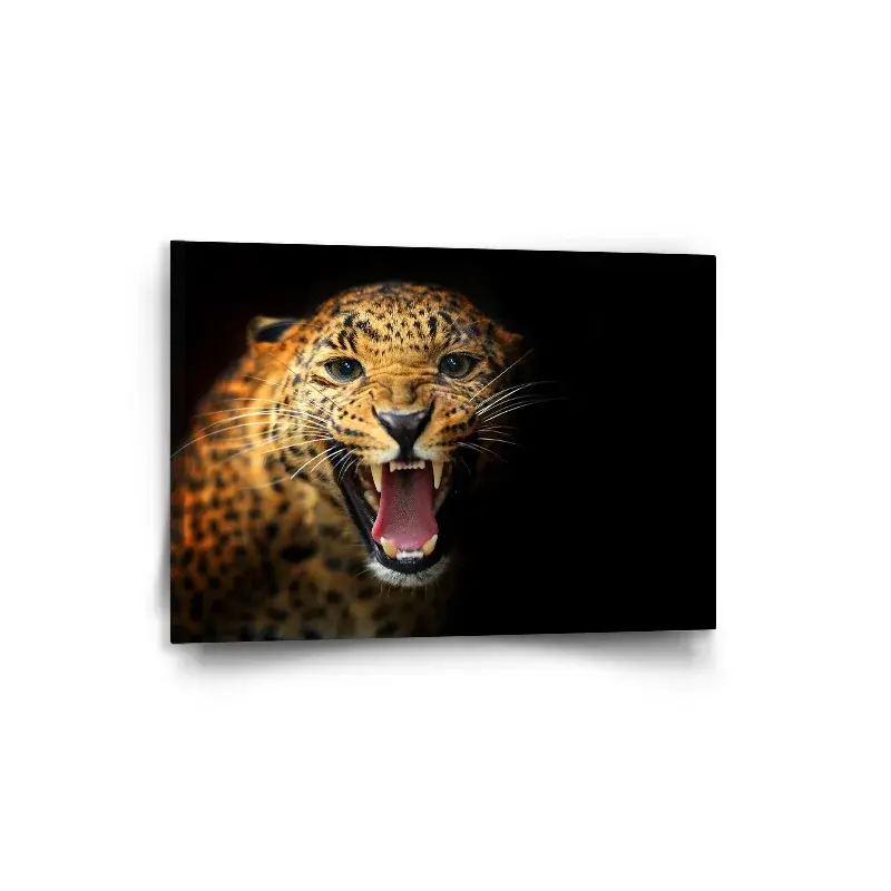 Obraz Gepard 2 - 90x60 cm