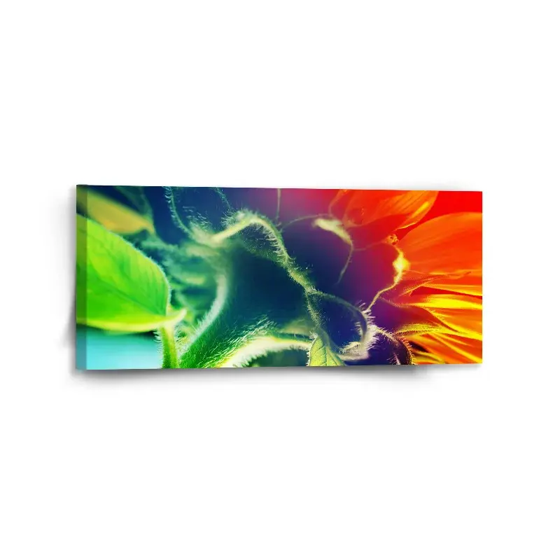 Obraz Duhová květina - 110x50 cm