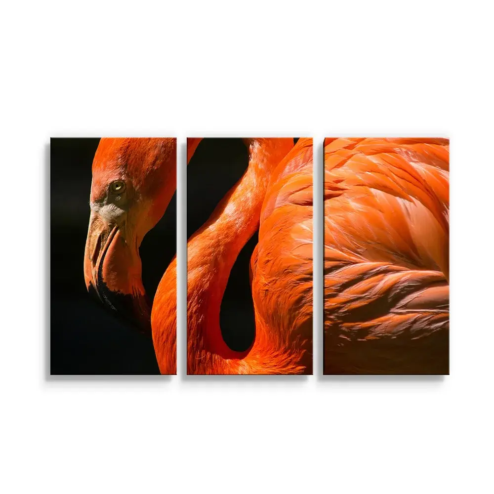 Obraz - 3-dílný Plameňák - 120x80 cm