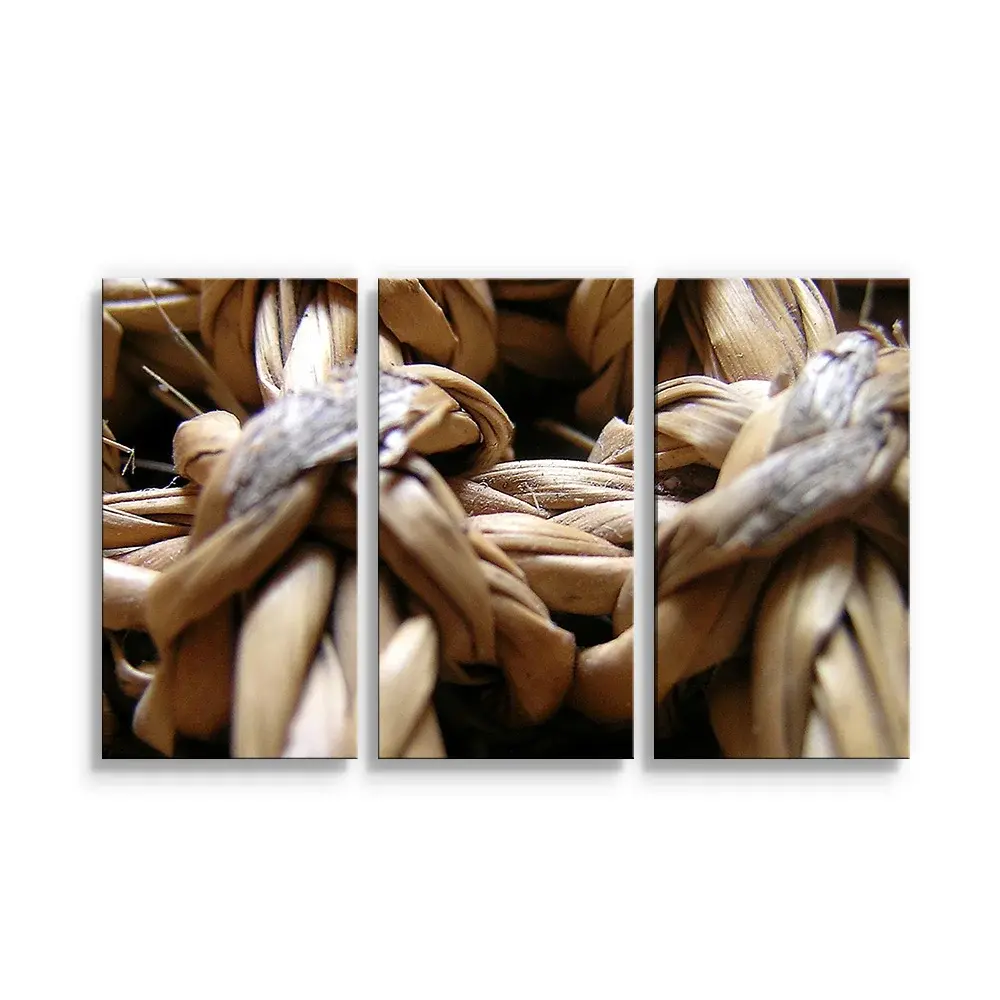 Obraz - 3-dílný Banánové listí - 120x80 cm