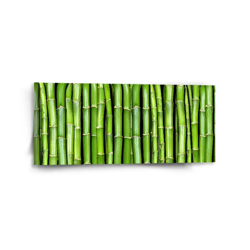 Obraz Bambus - 110x50 cm
