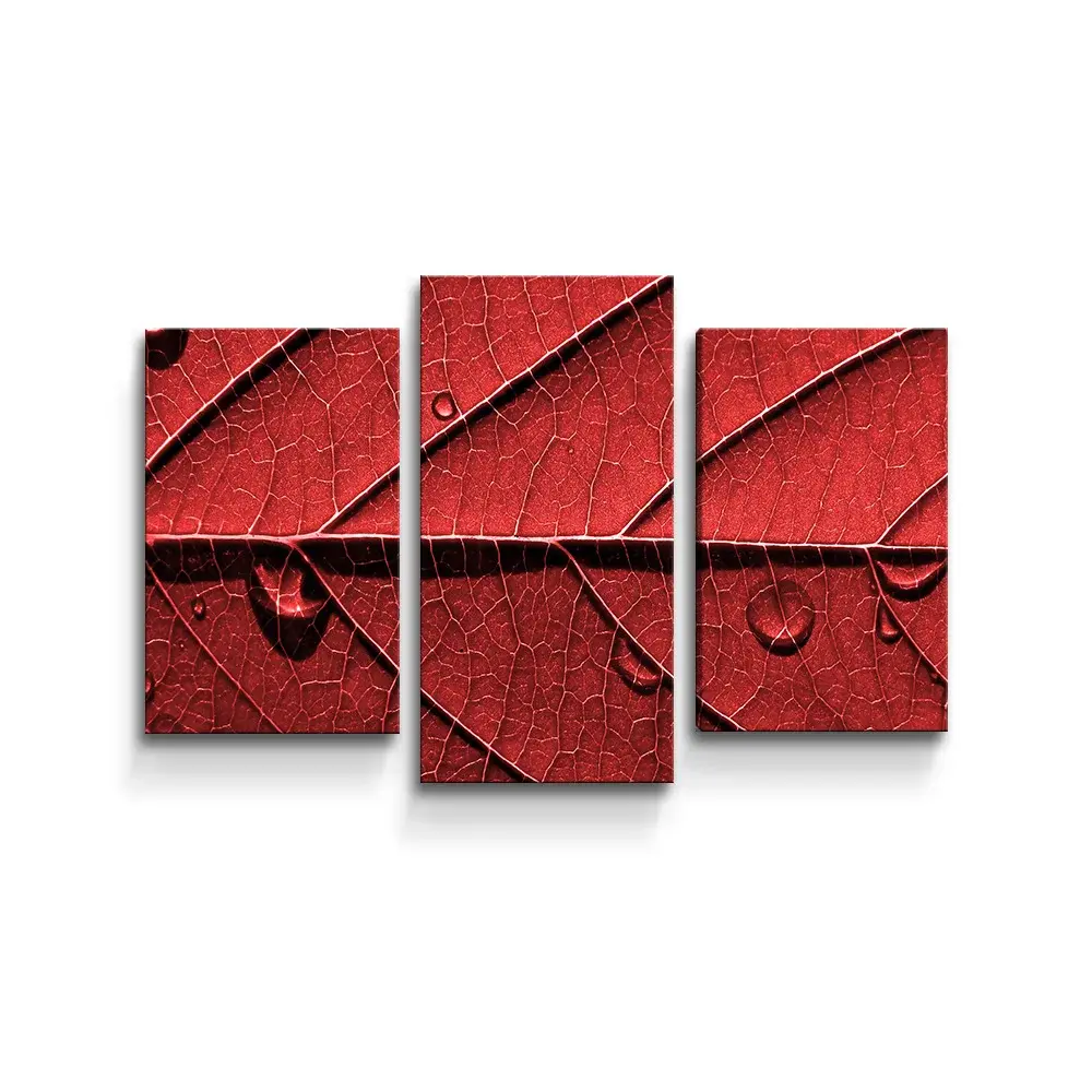 Obraz - 3-dílný Červený list - 75x50 cm