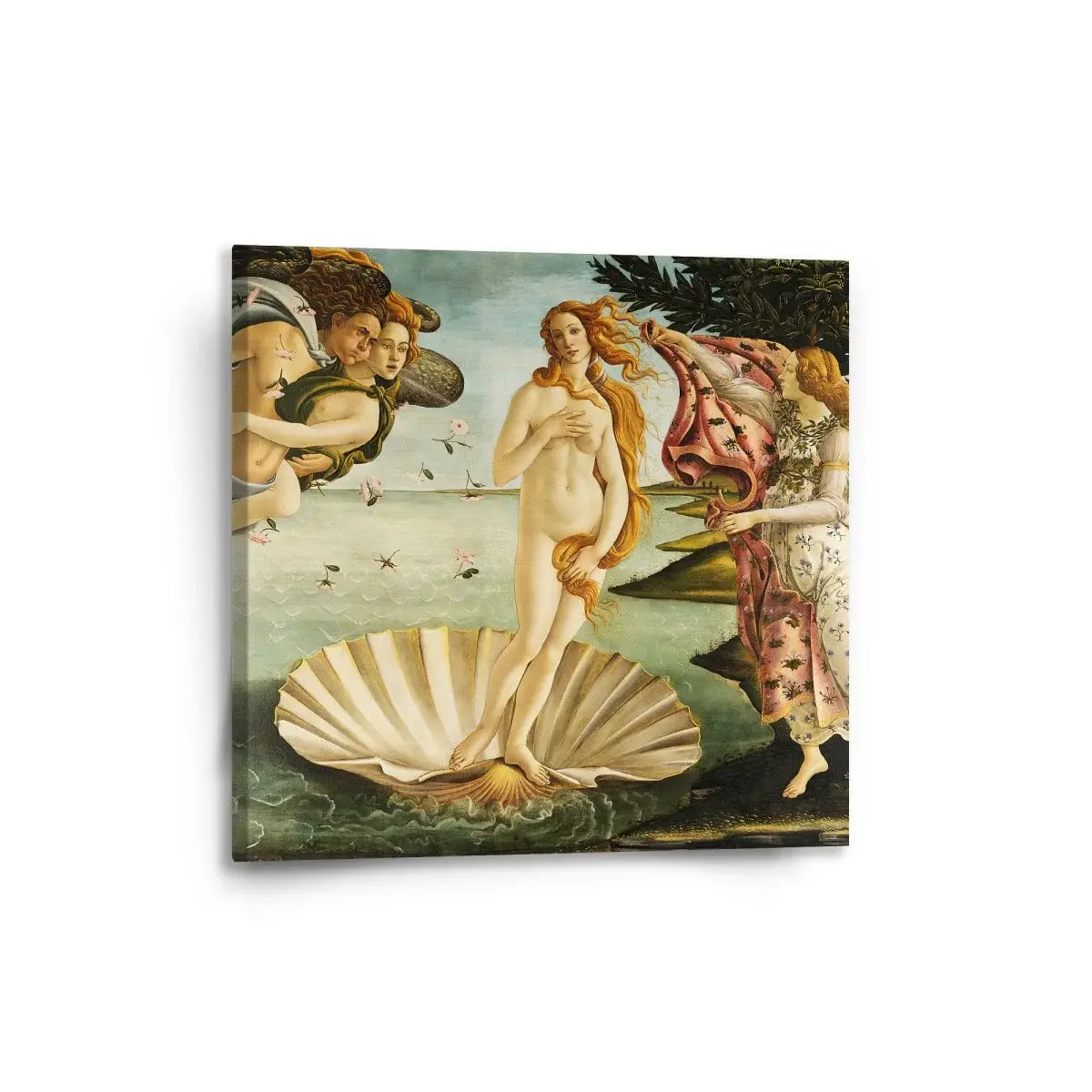 Obraz Zrození Venuše - Sandro Botticelli - 50x50 cm