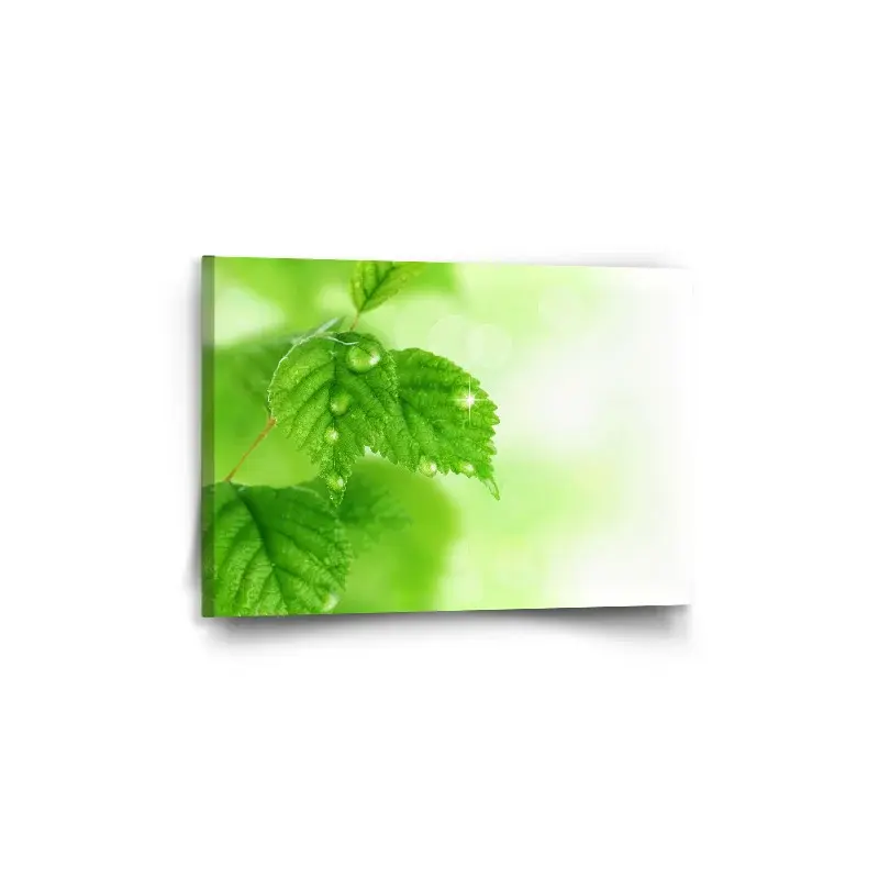 Obraz Listy 2 - 60x40 cm