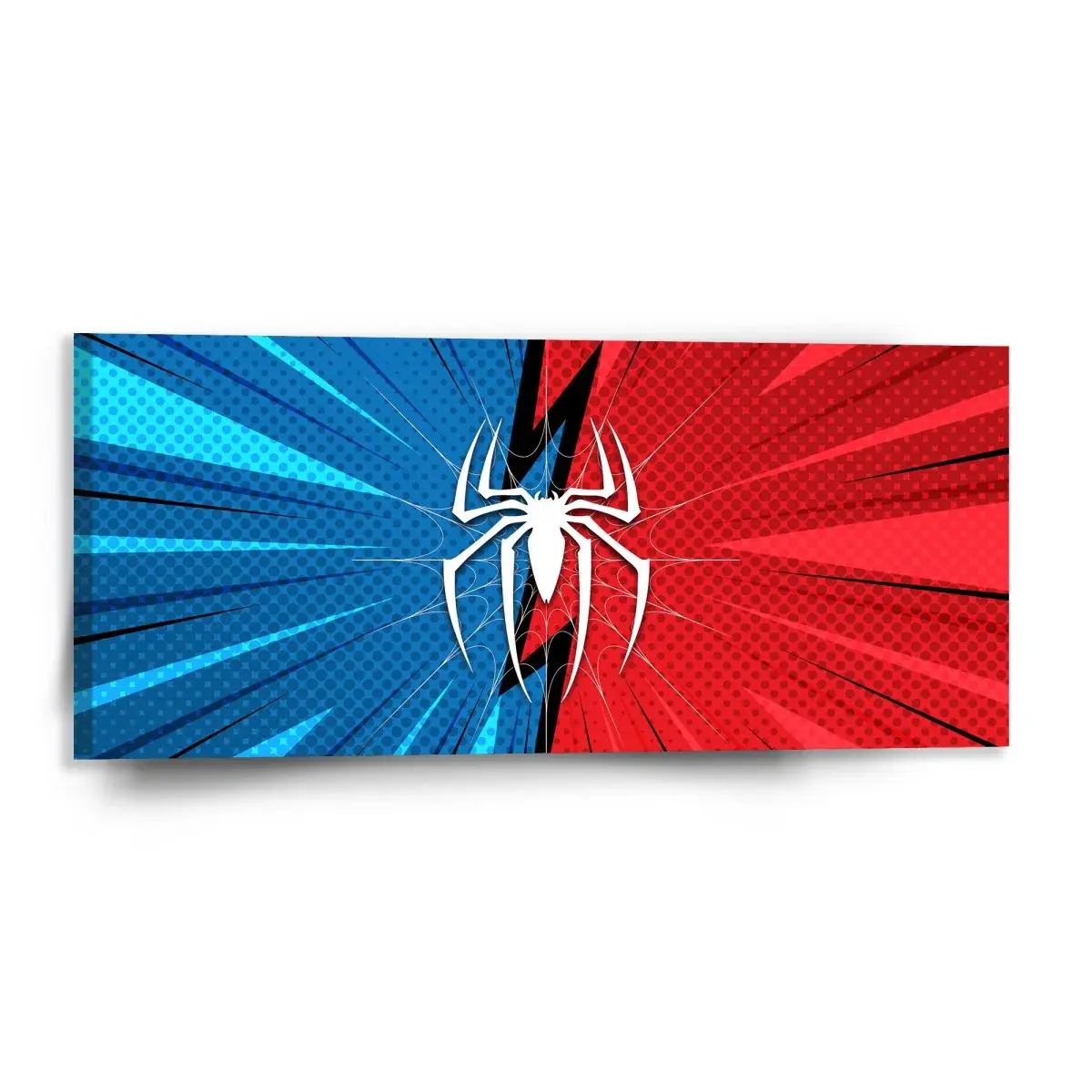 Obraz Spider - 110x50 cm