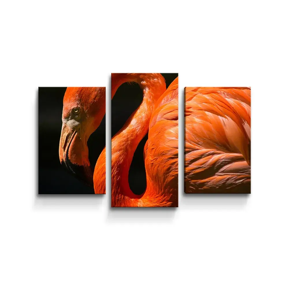 Obraz - 3-dílný Plameňák - 75x50 cm
