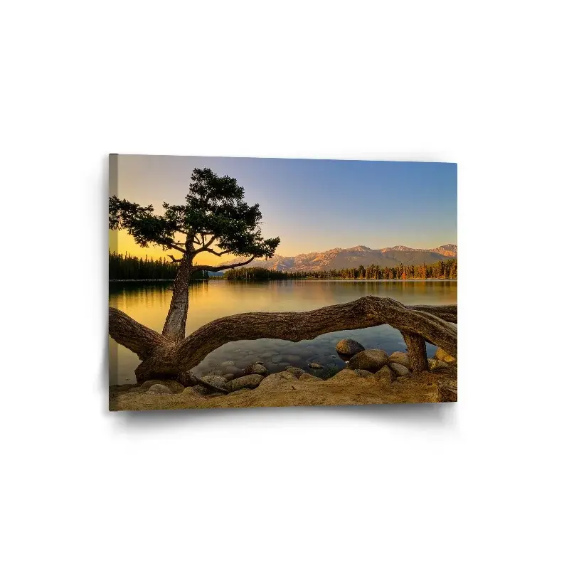 Obraz Strom u jezera - 90x60 cm