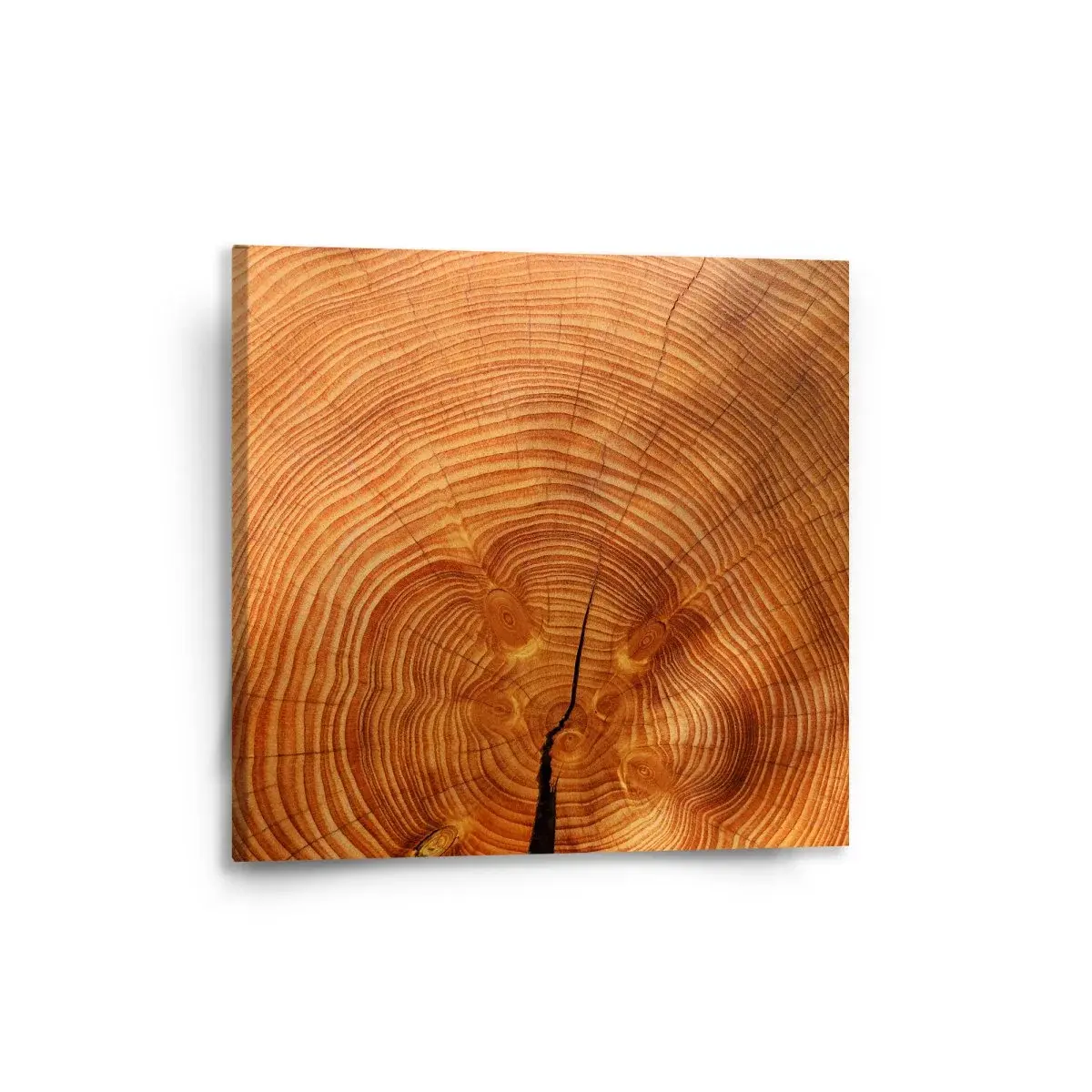 Obraz Dřevo 2 - 50x50 cm