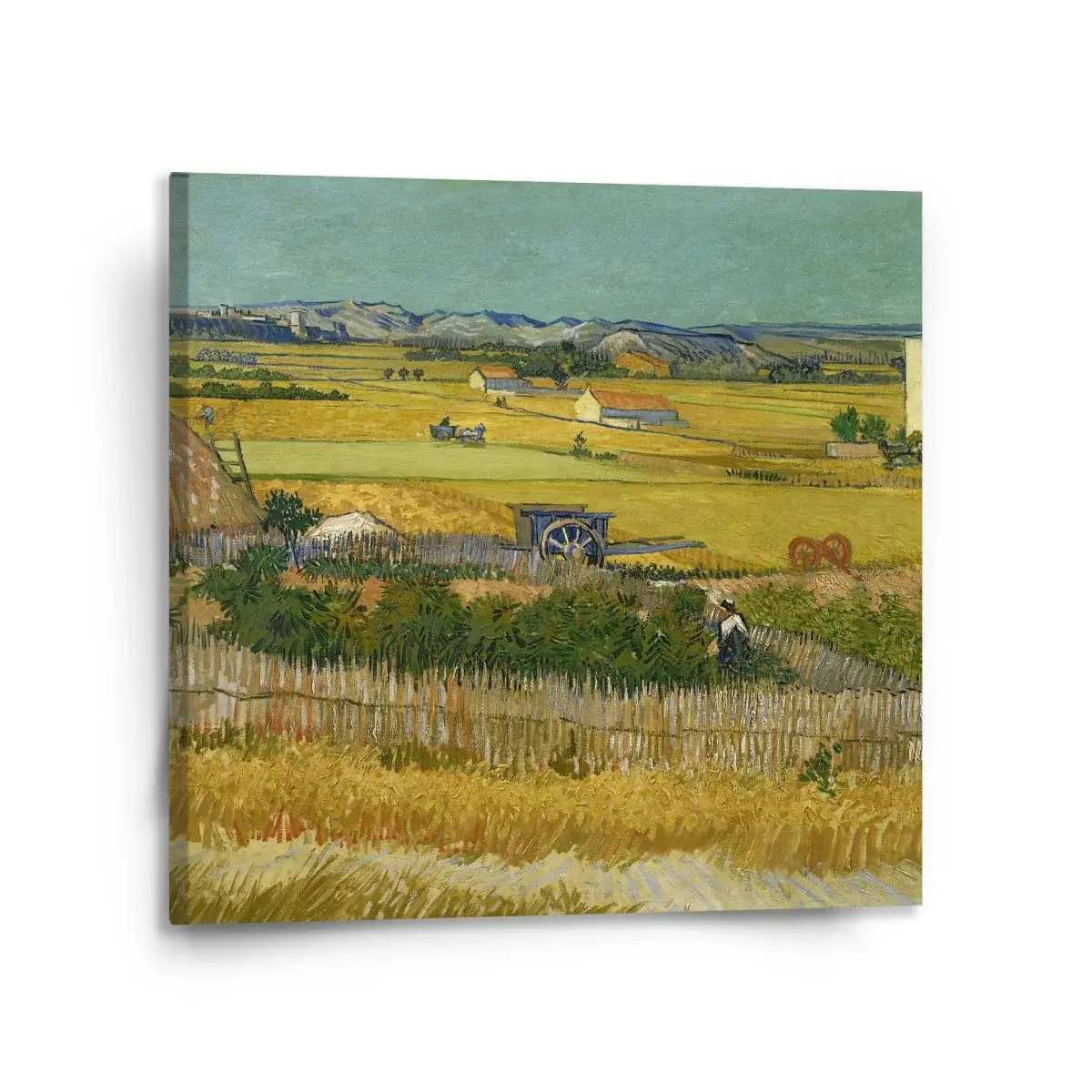Obraz Sklizeň - Vincent van Gogh - 110x110 cm