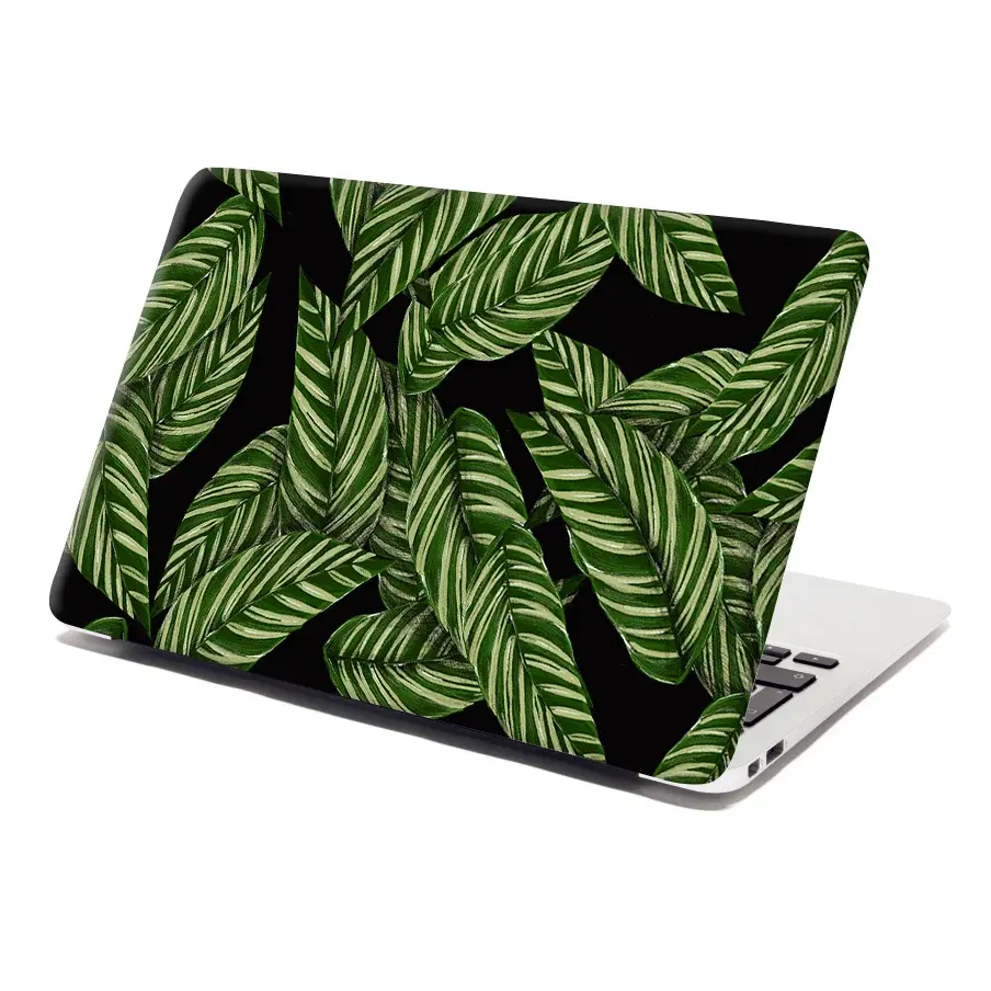 Samolepka na notebook Abstrakce listů - 38x26 cm