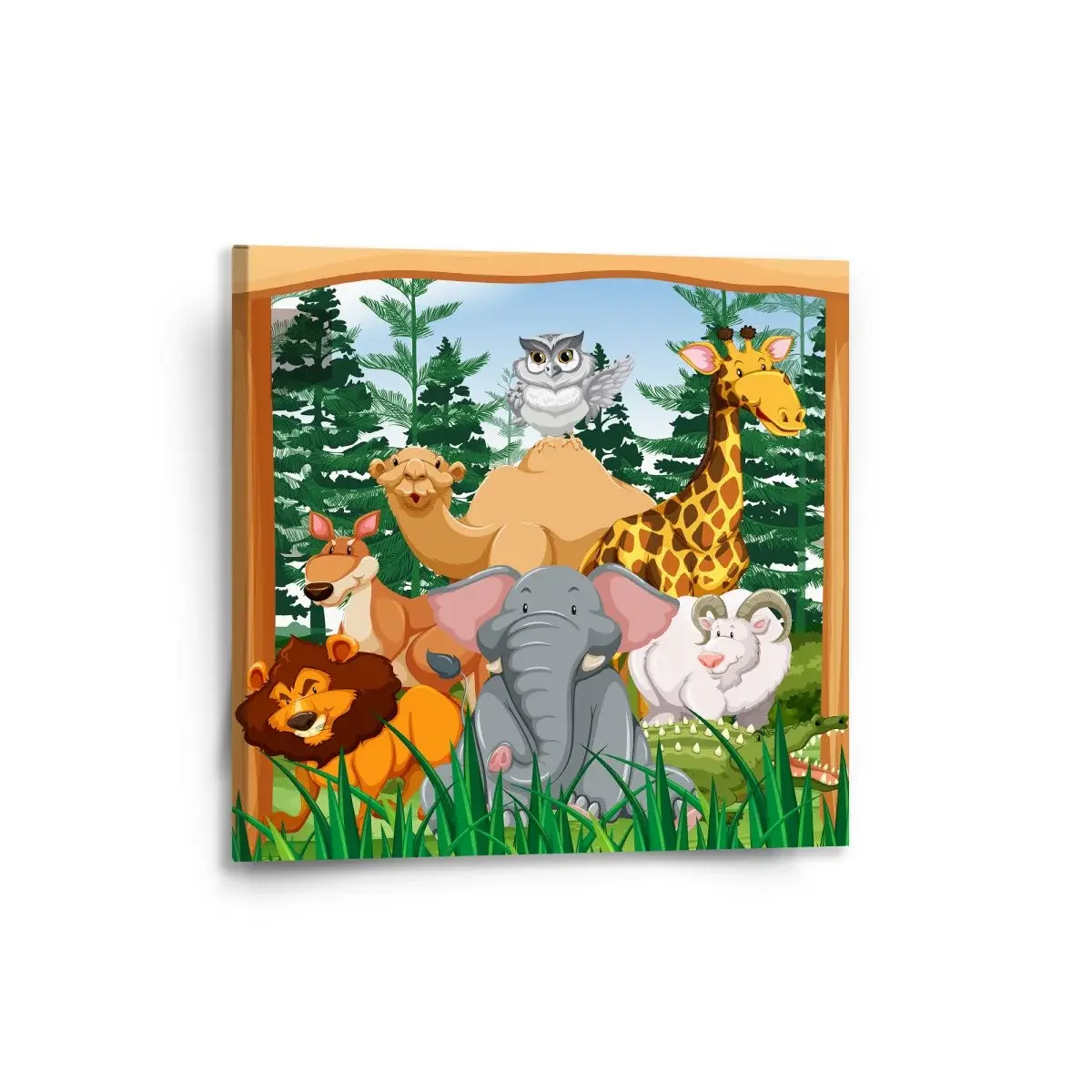 Obraz Zoo - 50x50 cm