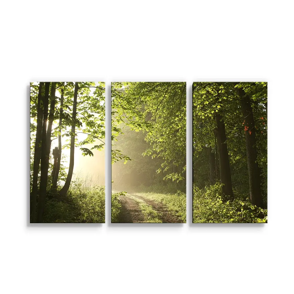 Obraz - 3-dílný Lesní cesta - 120x80 cm