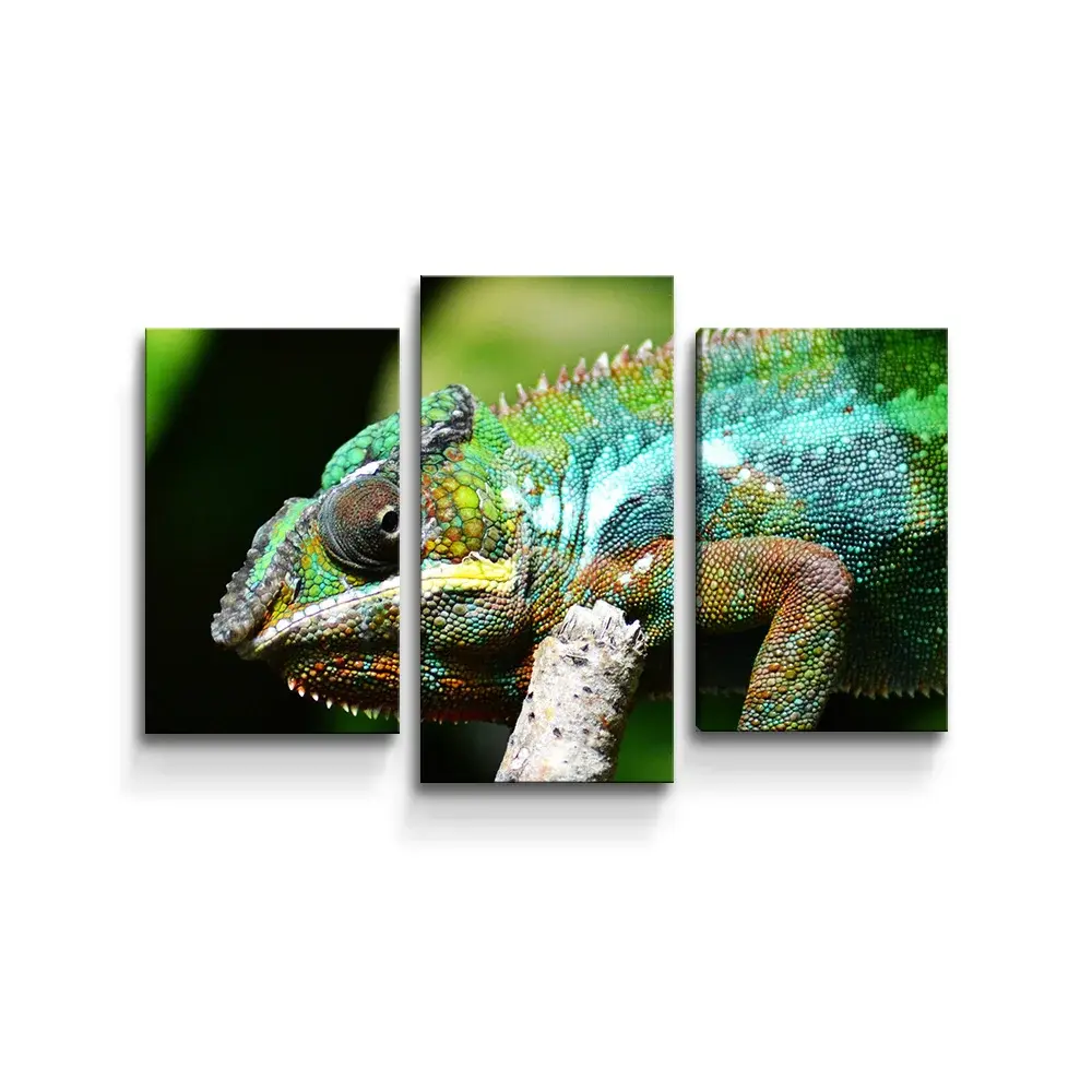 Obraz - 3-dílný Chameleon - 75x50 cm