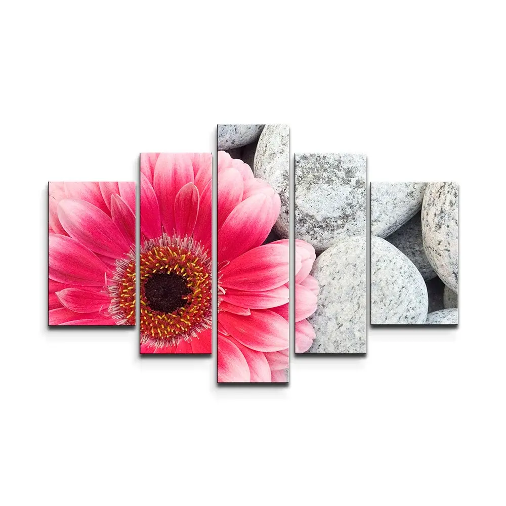 Obraz - 5-dílný Gerbera na kamenech - 125x90 cm