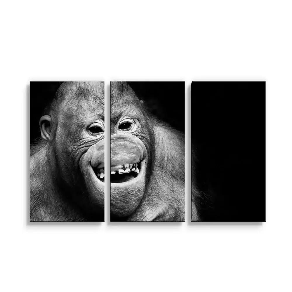 Obraz - 3-dílný Orangutan - 120x80 cm