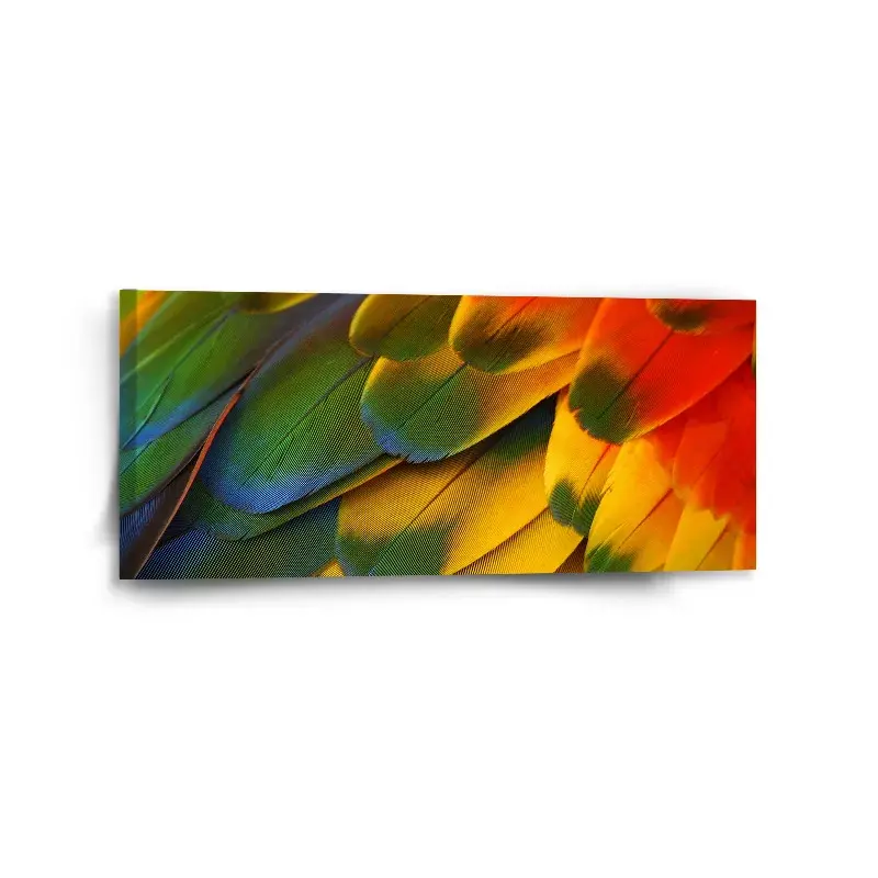 Obraz Barevné peří - 110x50 cm