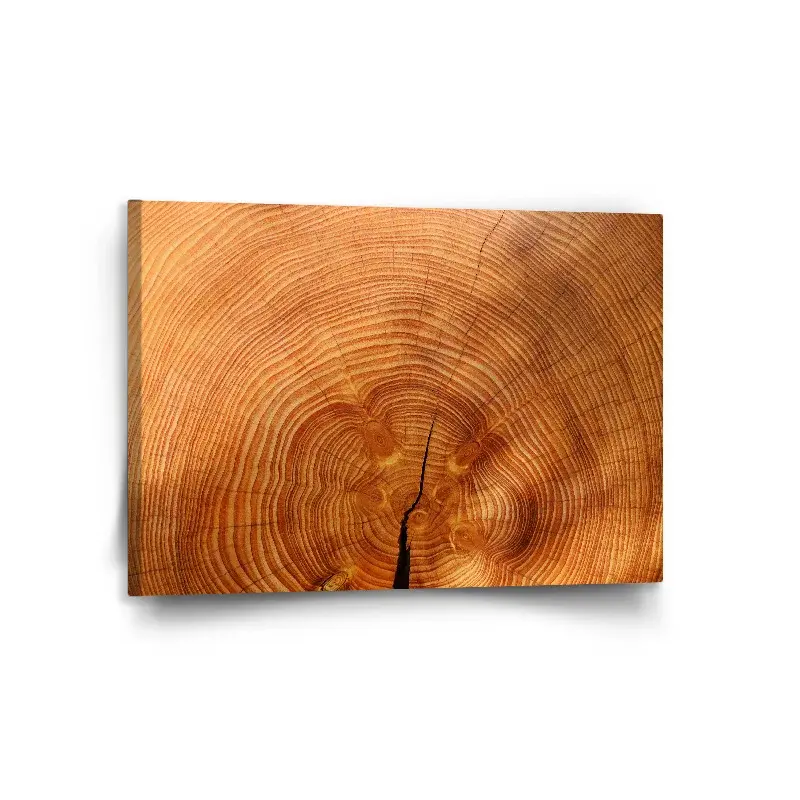 Obraz Dřevo 2 - 120x80 cm
