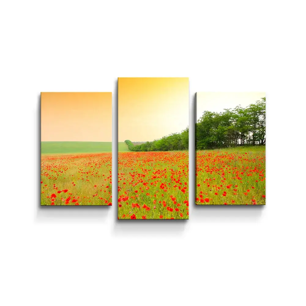 Obraz - 3-dílný Pole vlčích máků - 75x50 cm