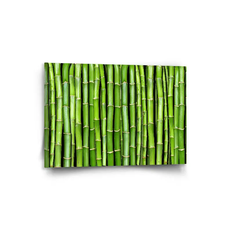 Obraz Bambus - 90x60 cm