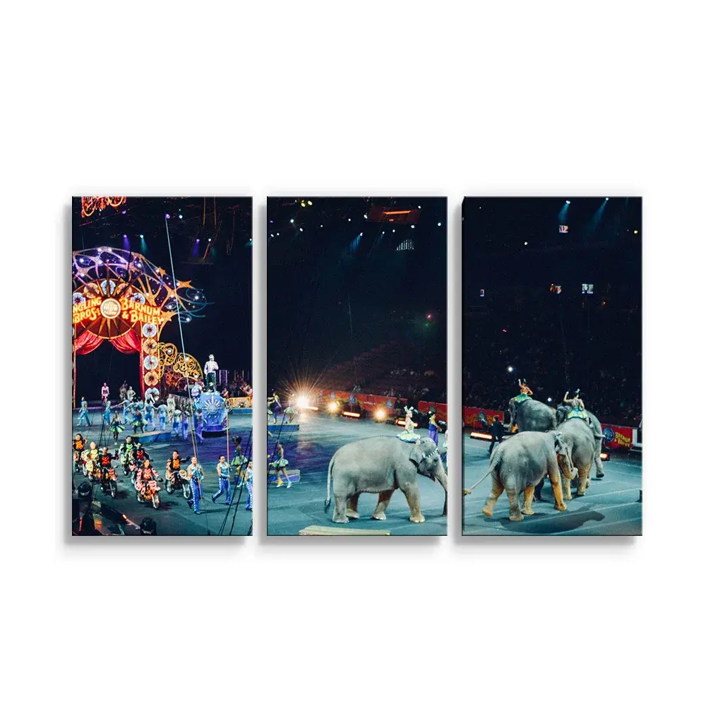 Obraz - 3-dílný Cirkus - 120x80 cm
