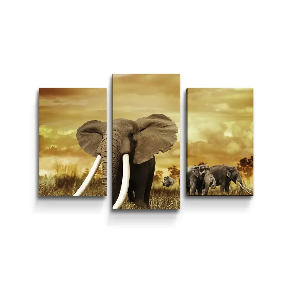 Obraz - 3-dílný Slon Africký - 75x50 cm