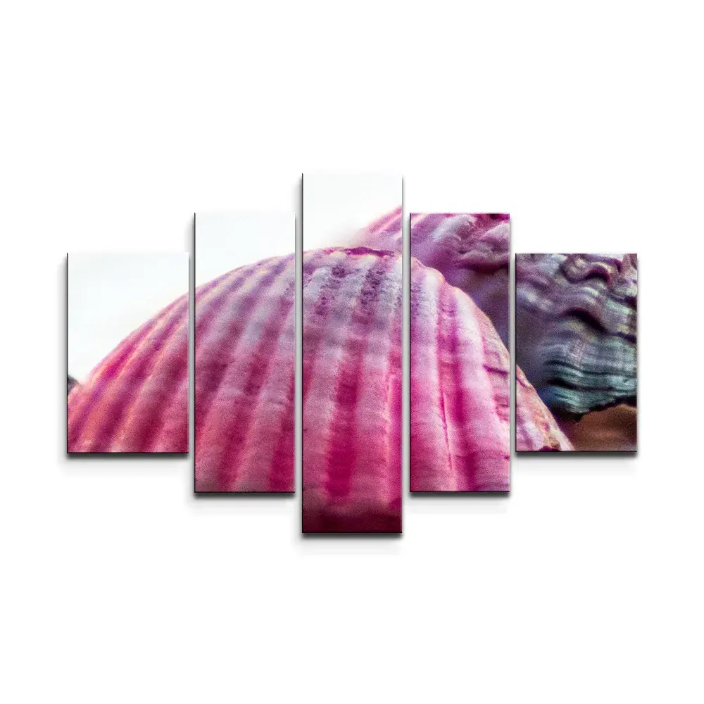 Obraz - 5-dílný Mušličky - 125x90 cm