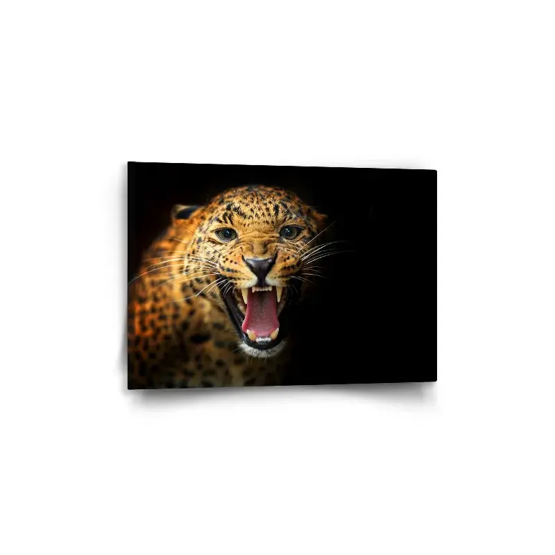 Obraz Gepard 2 - 60x40 cm