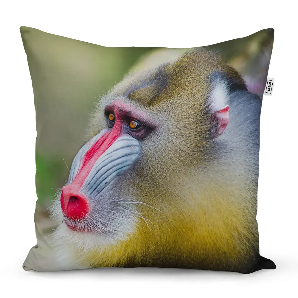 Polštář Mandril - 50x50 cm