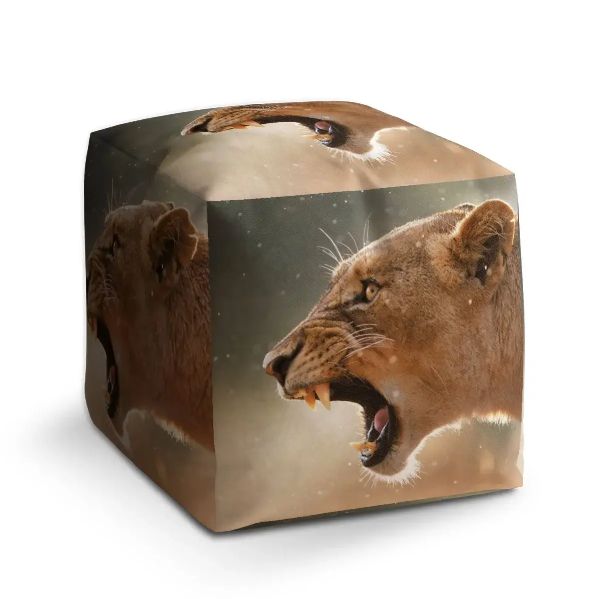Taburet Cube Rozzuřená lvice - 50x50x50 cm