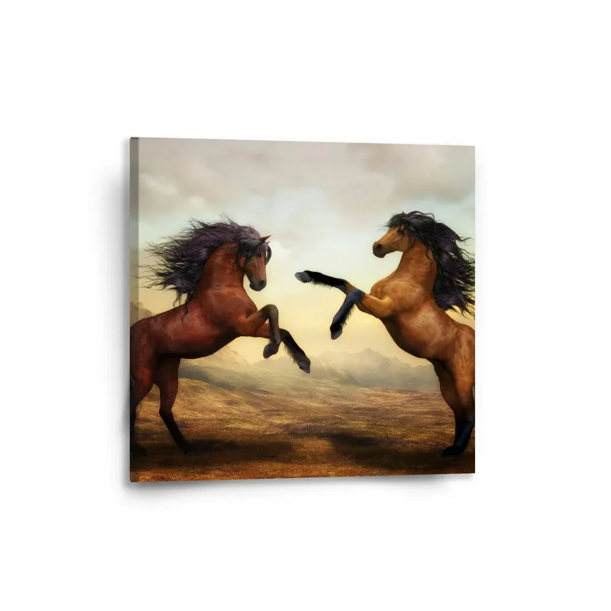 Obraz Vzpínající se koně - 50x50 cm