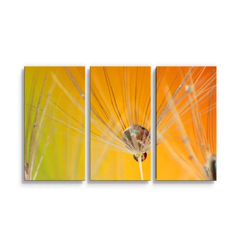 Obraz - 3-dílný Odkvetlé pampelišky 2 - 120x80 cm