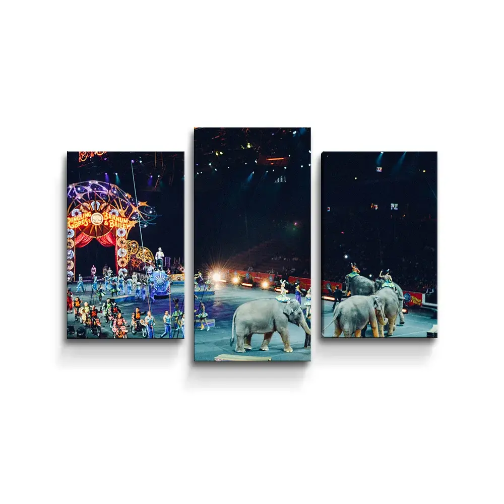 Obraz - 3-dílný Cirkus - 75x50 cm