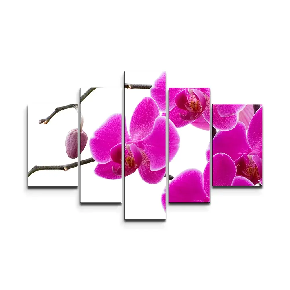 Obraz - 5-dílný Fialové orchideje - 125x90 cm