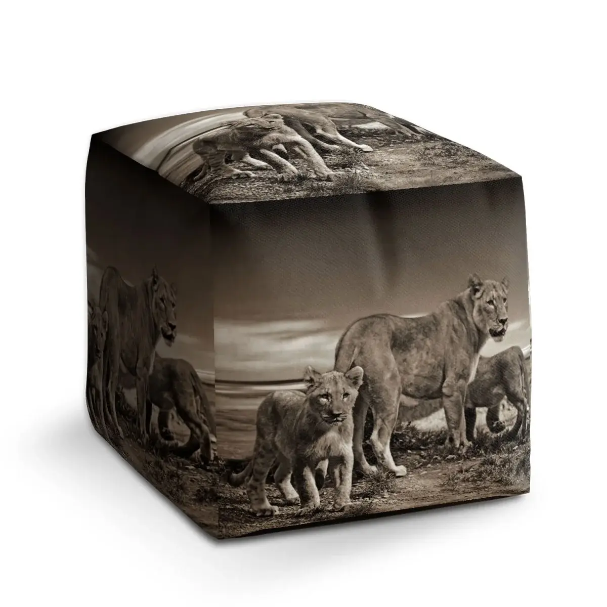 Taburet Cube Lvice a lvíčata - 40x40x40 cm