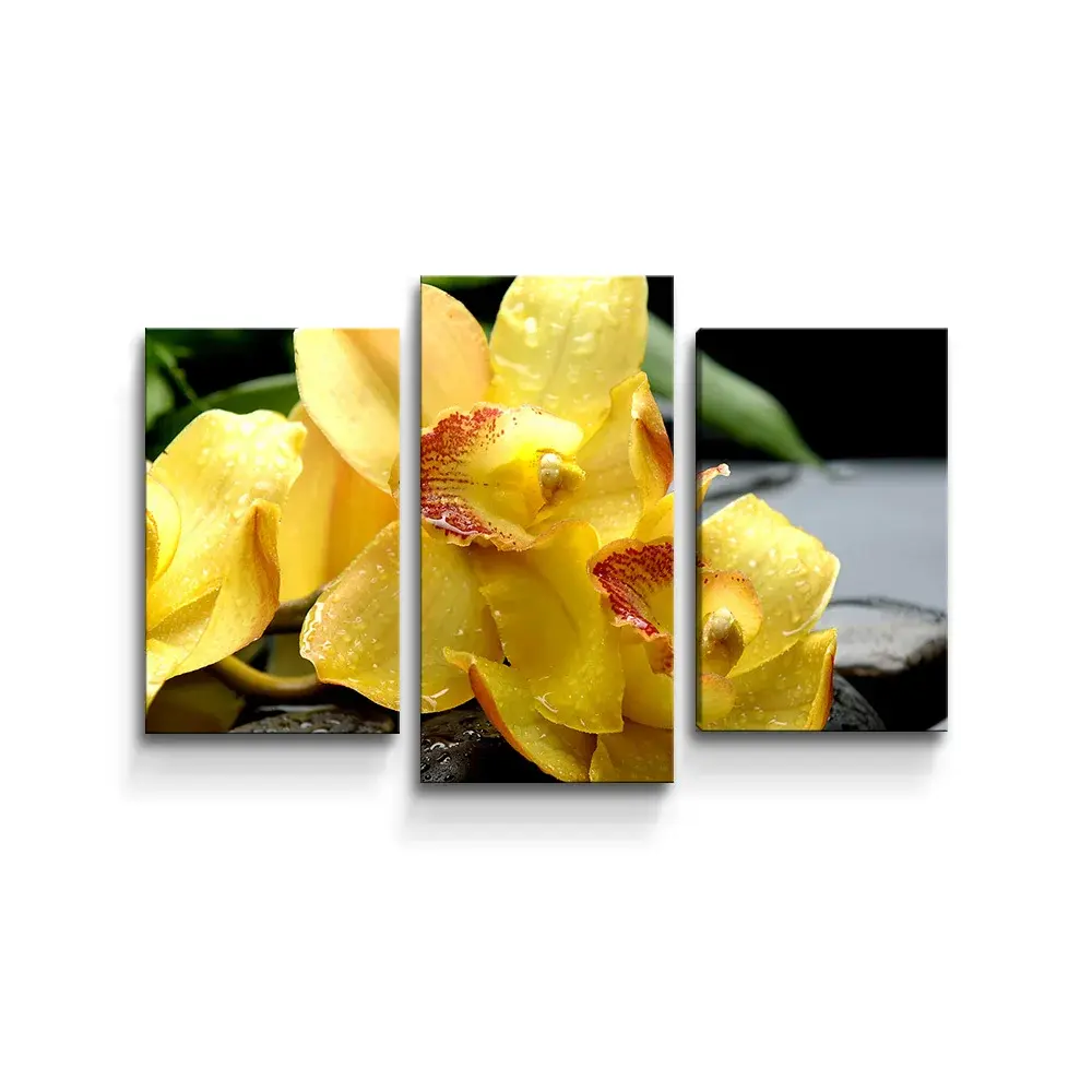 Obraz - 3-dílný Žluté orchideje - 75x50 cm