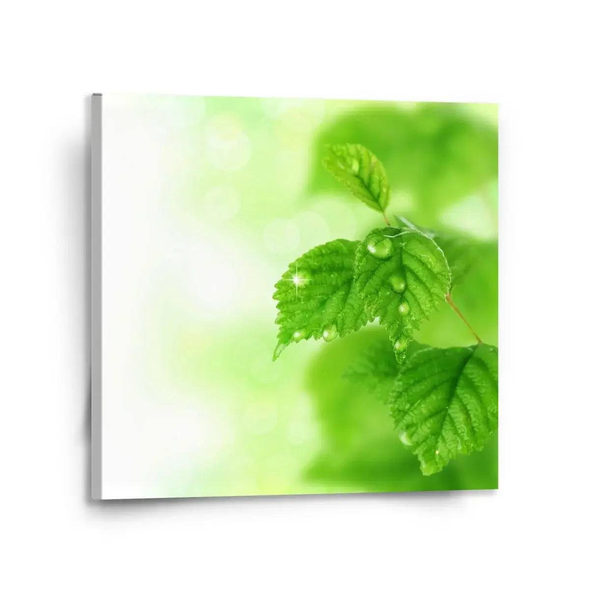 Obraz Listy 3 - 110x110 cm