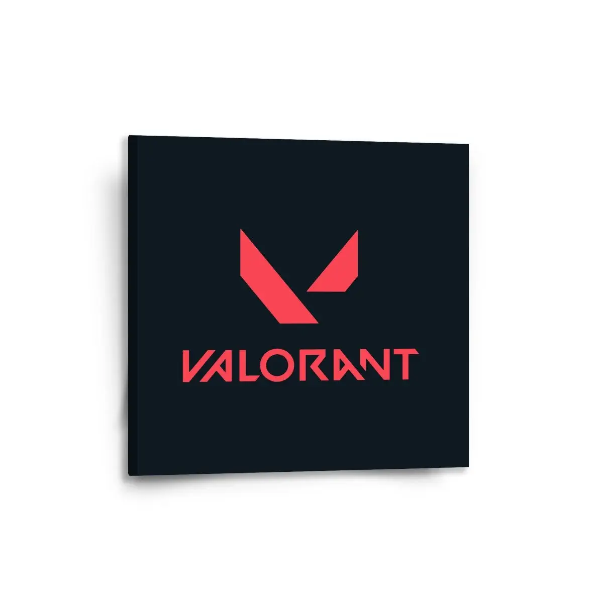 Obraz VALORANT Black - 50x50 cm