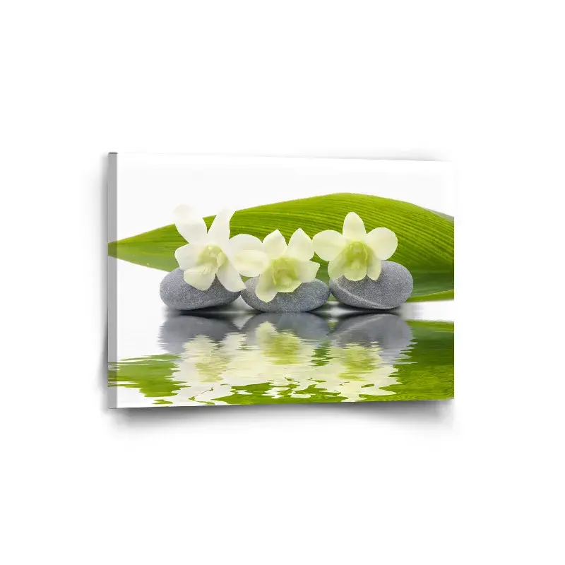 Obraz Bílá orchidej - 90x60 cm