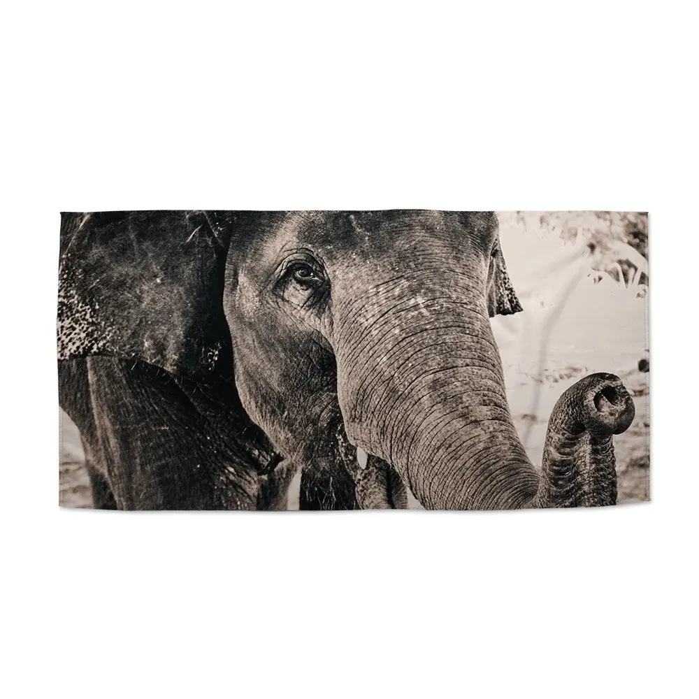 Ručník Slon - 70x140 cm