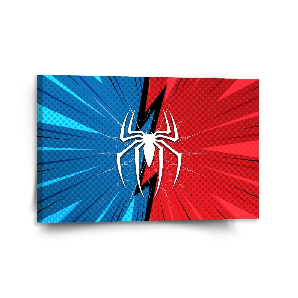 Obraz Spider - 120x80 cm
