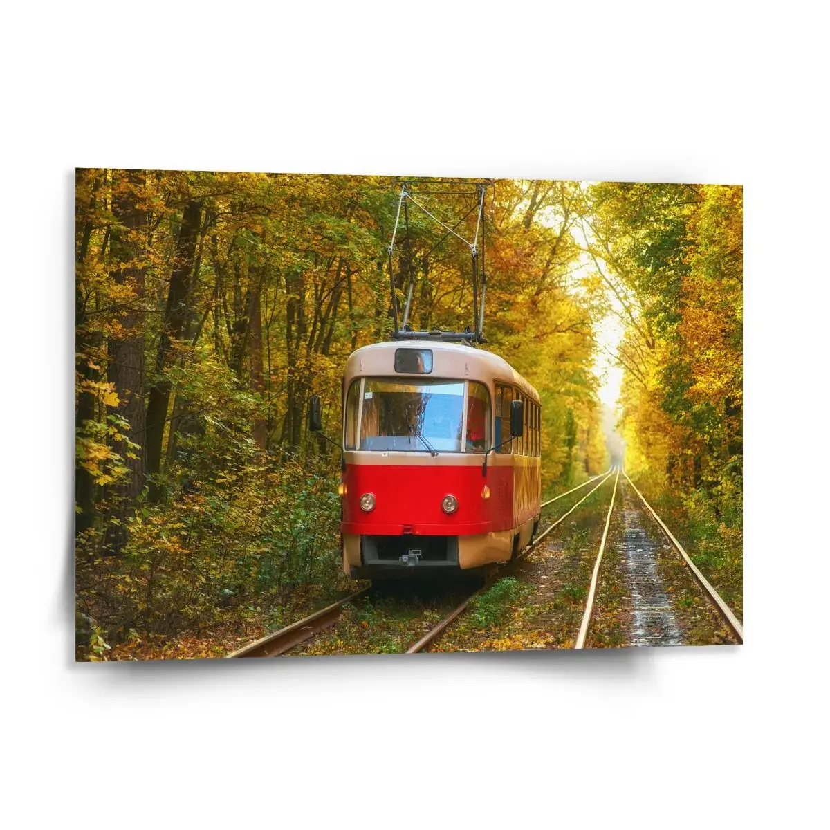 Obraz Červená tramvaj v lese - 150x110 cm