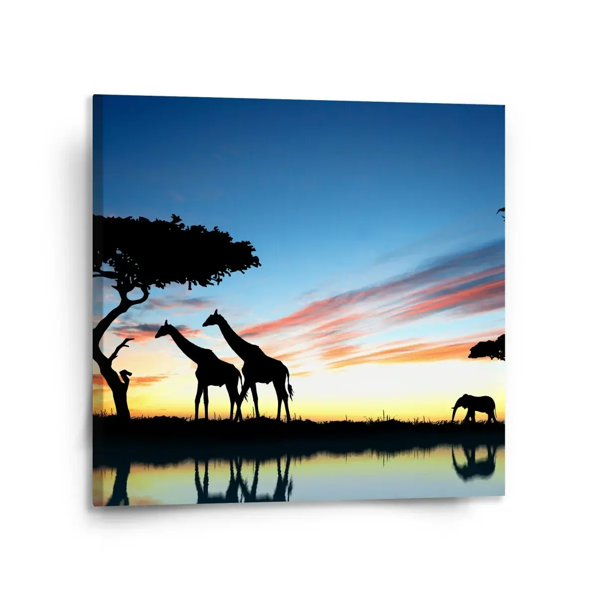 Obraz Sahara - 110x110 cm