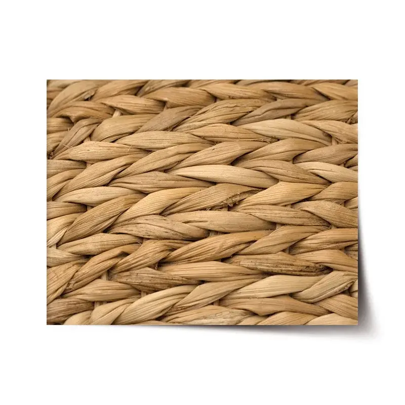 Plakát Banánové listí 2 - 90x60 cm