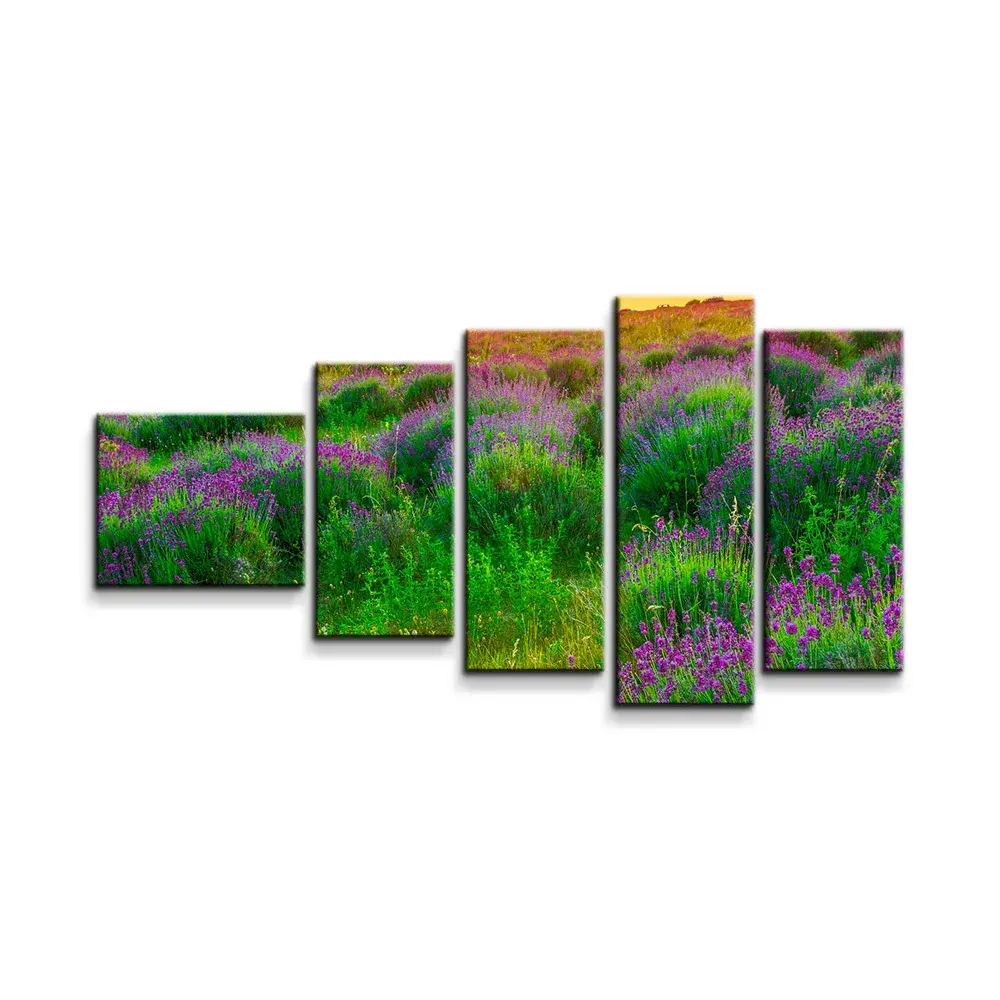 Obraz - 5-dílný Levandulové pole - 100x60 cm