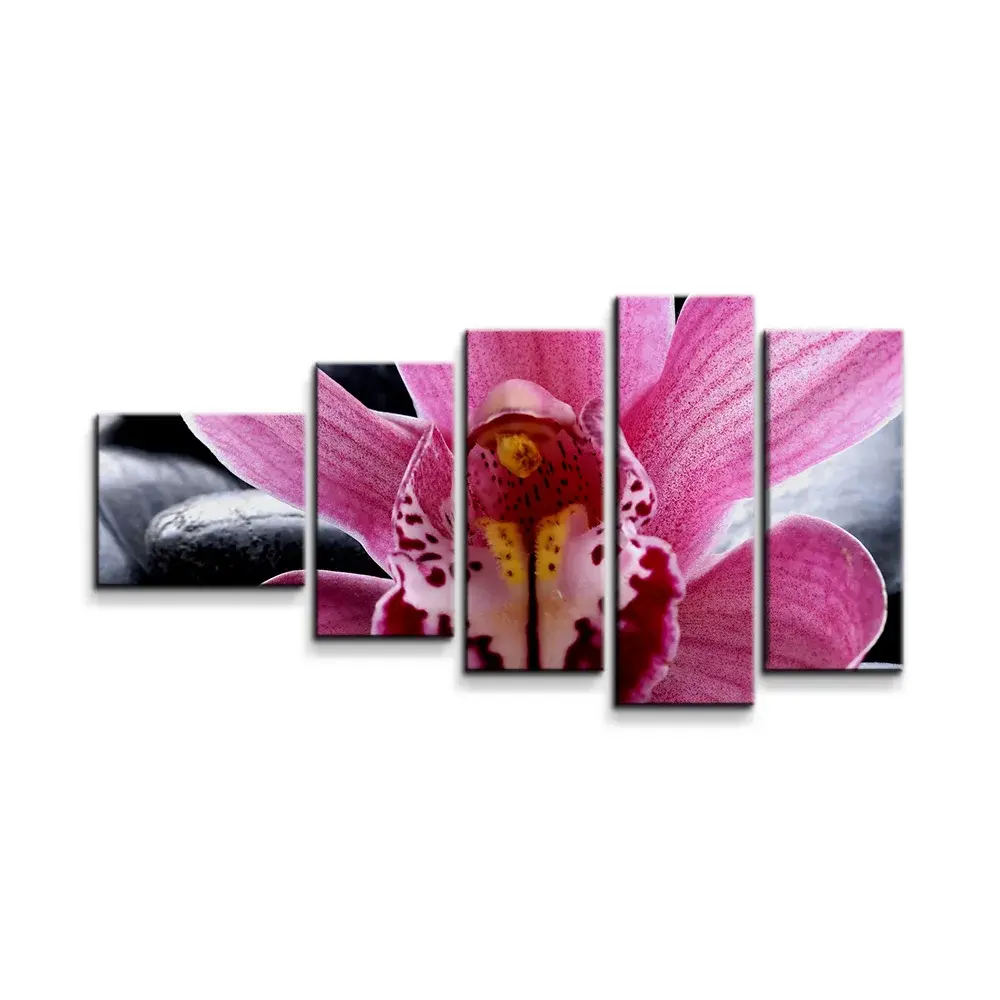 Obraz - 5-dílný Růžová orchidea - 100x60 cm